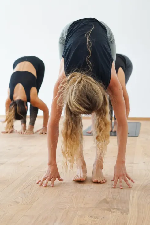 Yogakurs für Einsteiger  @ Maktub Yoga