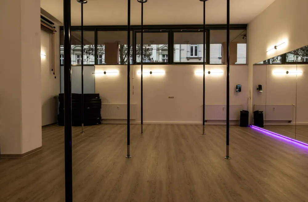 IronX Poledance & Fitness