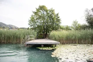 Dieser Anbieter hat keine Bildbeschreibung für dieses Bild hinterlegt