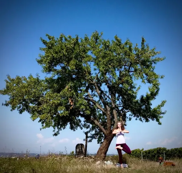 Präventionskurs Yoga 2 Wiedereinsteiger @ Yoga Vidya Mainz