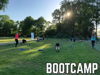 De locatie gaf geen beschrijving voor deze profielafbeelding