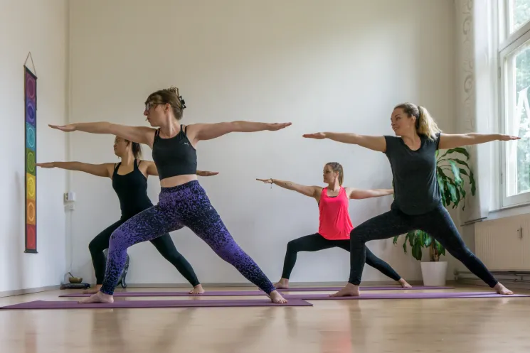 Hatha Yoga - ONLINE (English) @ YogaZenter