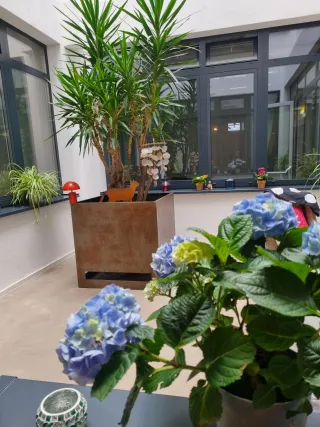 Dieser Anbieter hat keine Bildbeschreibung für dieses Bild hinterlegt