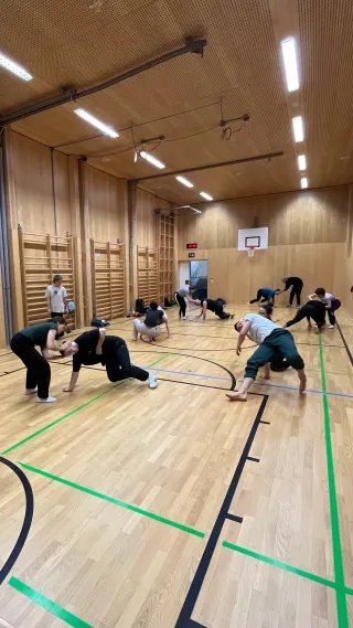 Dieser Anbieter hat keine Bildbeschreibung für dieses Bild hinterlegt