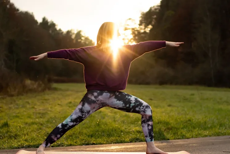 Yoga für die innere Balance (2er-Block) @ Yoga Vidya Bamberg