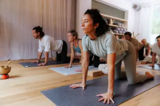 Dieser Anbieter hat keine Bildbeschreibung für dieses Bild hinterlegt