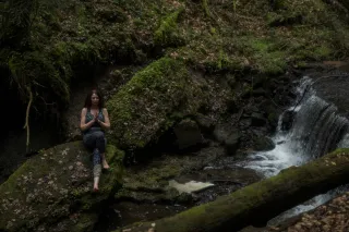 Dieser Anbieter hat keine Bildbeschreibung für dieses Bild hinterlegt
