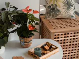 De locatie gaf geen beschrijving voor deze profielafbeelding