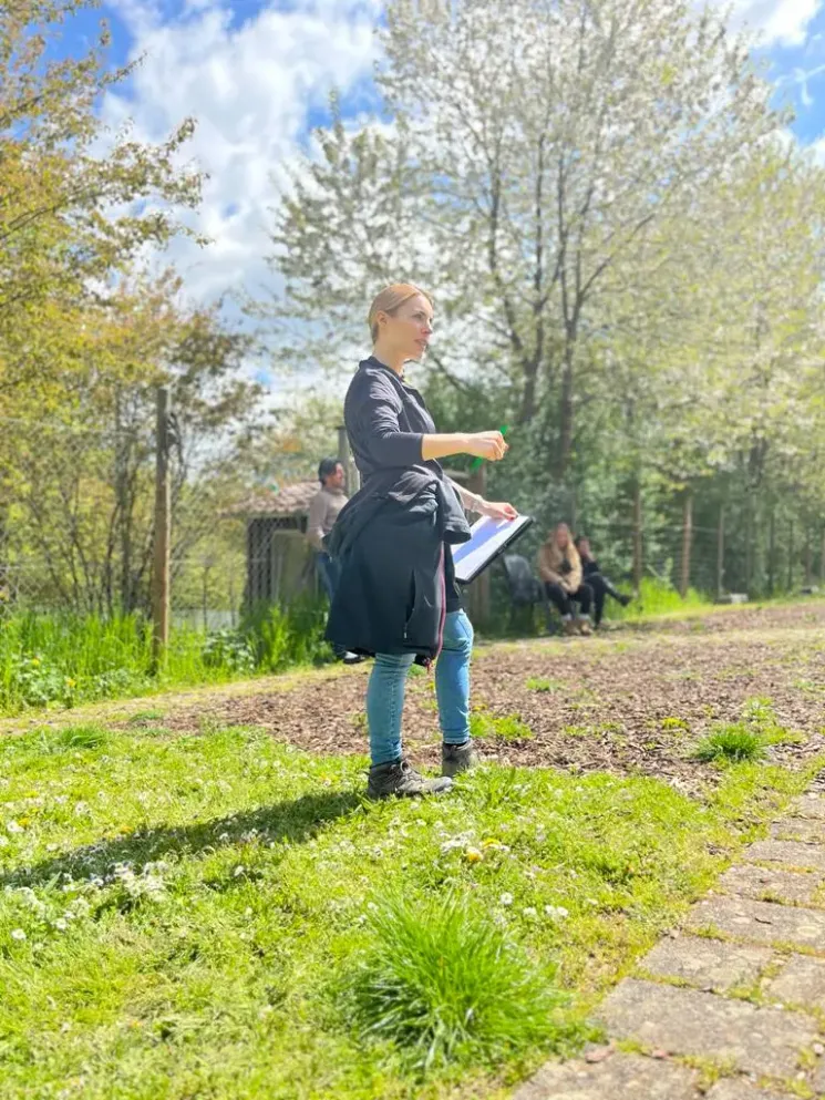  Infoliste "Distanztraining"  @ Martin Rütter Hundeschule Würzburg und Main-Tauber-Kreis