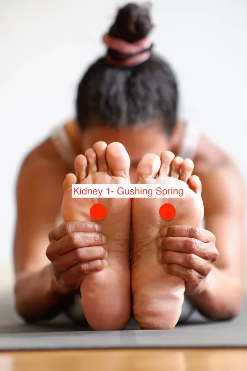 100-Hour Meridian Yoga Training Level 1 @ Manas Yoga