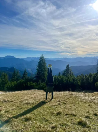 Dieser Anbieter hat keine Bildbeschreibung für dieses Bild hinterlegt