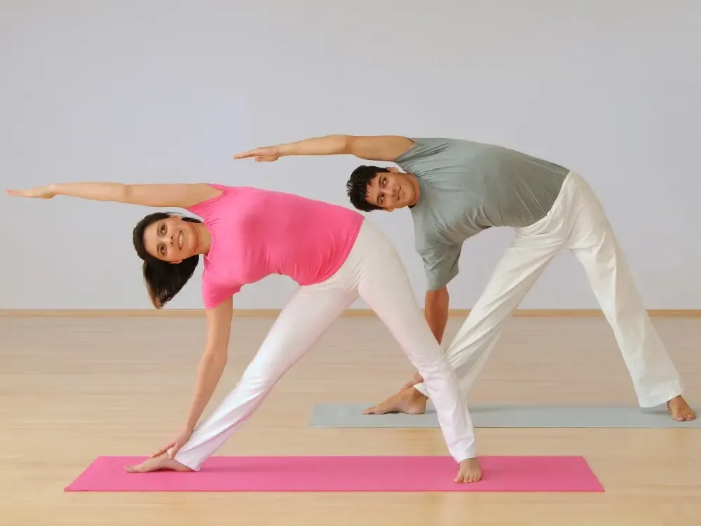 Sivananda Yogazentrum Wien