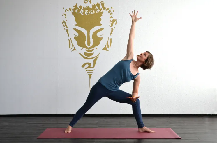 ONLINE Basic Hatha Yoga Spiraldynamik®  | 17:45 - 19:00Uhr @ yoga-ma