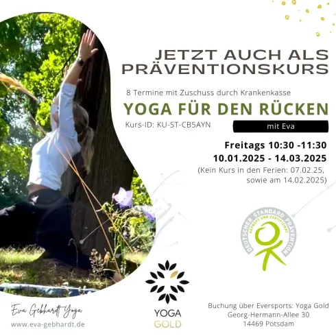 Präventionskurs - Yoga für den Rücken @ Yoga Gold