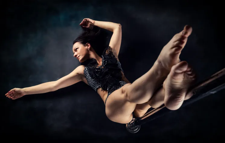 Intermediate Poledance Trainer Ausbildung ONLINE @ VerticalKay PoleDance & AerialArts Studio (Salzburg)