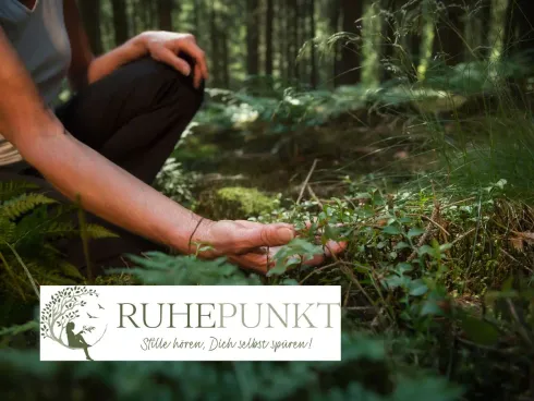 Waldbaden - mit Auszeit in der Hängematte @ YOGAwelten - Studio und Akademie