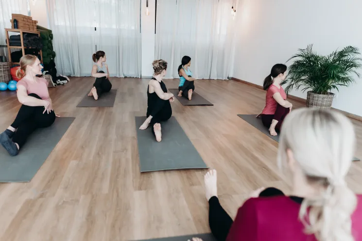 Hatha Yoga online @ Megaherz Yoga Kaarst-West