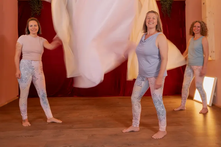 Aerial Workshop stillness in motion @ meinraumyoga