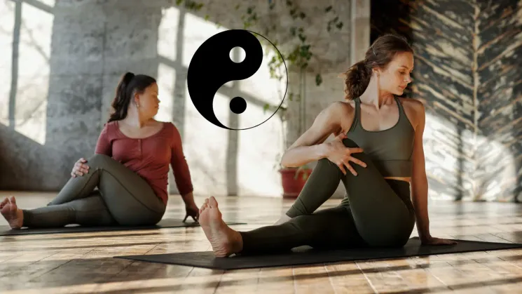 Yang trifft Yin mit Harmonium- und Mantra-Begleitung - VOR ORT @ Yoga Vidya Frankfurt