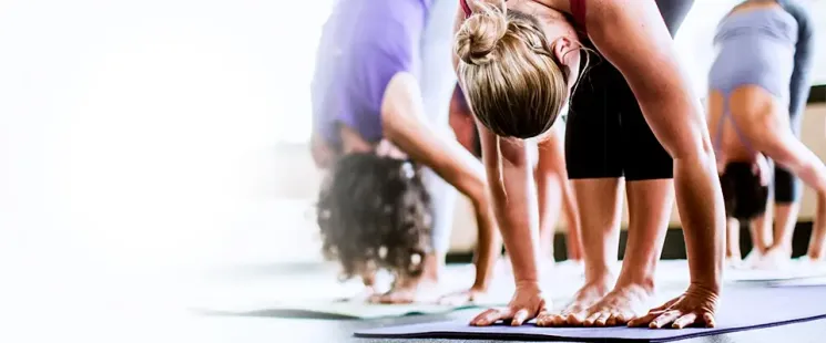 Kurs "Hatha-Yoga für Anfänger und Yoga-Erfahrene"- Level 1-3, Do, 18:30, ab 29.02.24 @ Yoga und Ayurveda Zentrum Hofheim