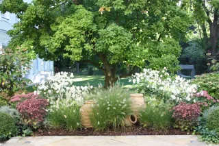 Dieser Anbieter hat keine Bildbeschreibung für dieses Bild hinterlegt