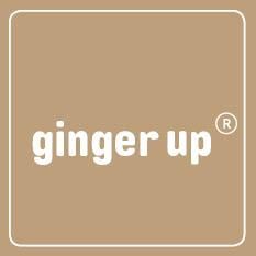 Ginger Up GmbH & Co. KG