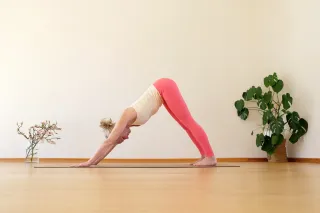 De locatie gaf geen beschrijving voor deze profielafbeelding