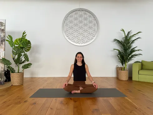 Online: Hatha Flow Yoga - fließend in die Kraft kommen @ sanely