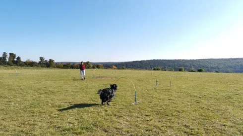 Hoopers Beginnerkurs TBB @ Martin Rütter Hundeschule Würzburg und Main-Tauber-Kreis