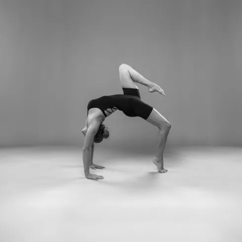 Le studio n'a pas fourni de description pour cette image