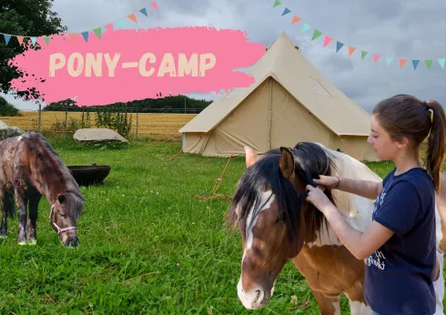 Pony-Camp 2 (Ferien auf dem Ponyhof) @ Ponyschule Seelenpferdchen