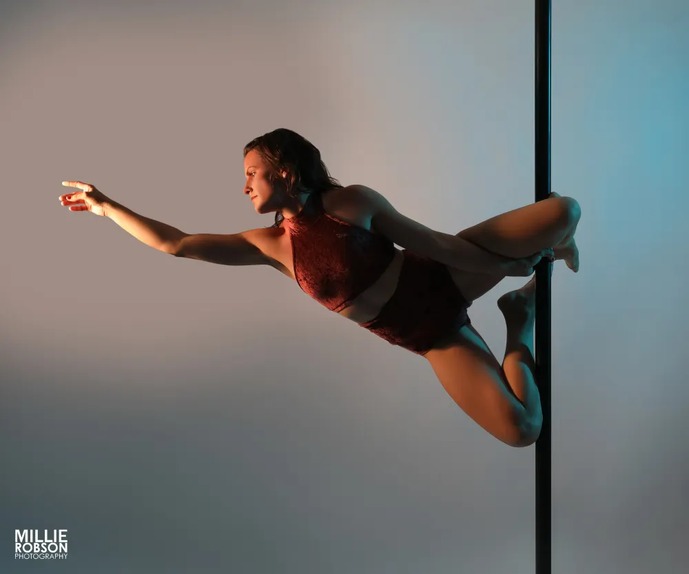 Pole Passion by Lisa Vogt