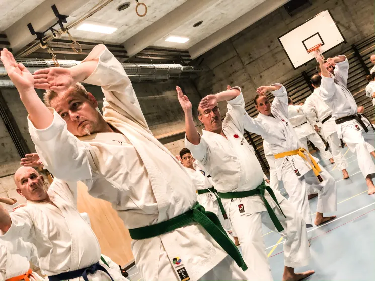 Erwachsene & Jugendliche @ Seikukan Karate Do Zürich