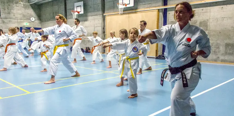 Kinder Gruppe A+B @ Seikukan Karate Do Zürich