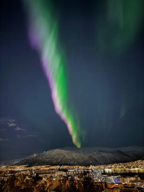 Le studio n'a pas fourni de description pour cette image