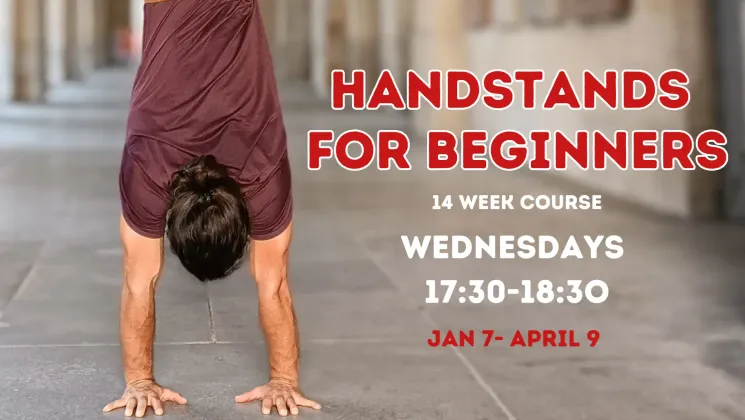 Handstands Beginners Course - Winter 2025 @ Acroyoga Vienna