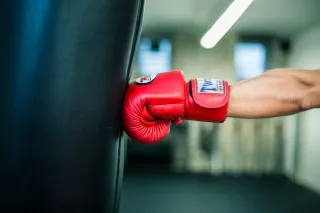 Dieser Anbieter hat keine Bildbeschreibung für dieses Bild hinterlegt