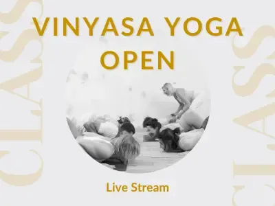 Vinyasa Yoga Open - LIVE STREAM  @ Namotoyoga