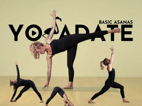 Dieser Anbieter hat keine Bildbeschreibung für dieses Bild hinterlegt