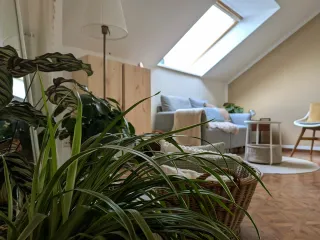 Dieser Anbieter hat keine Bildbeschreibung für dieses Bild hinterlegt