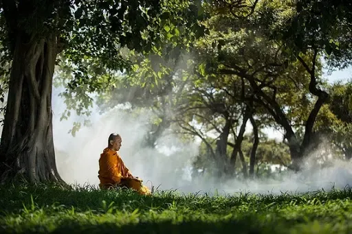 Buddhist Meditation on Theravada Tradition @ Yoga Tribe