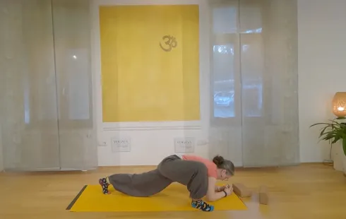 Dieser Anbieter hat keine Bildbeschreibung für dieses Bild hinterlegt