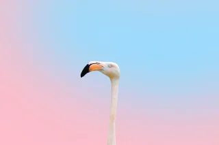 User headshot