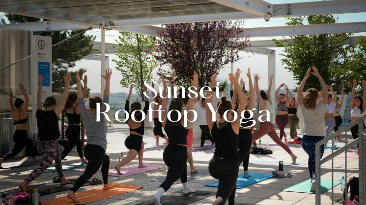 Sunset Rooftop Yoga @ Studio, Rooftop & Disco Yoga Classes by Karin Purker