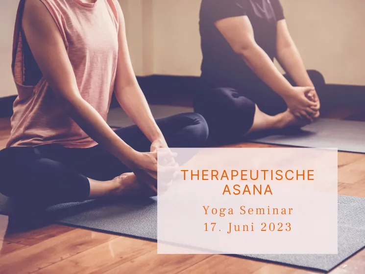 Seminar Therapeutische Asana (online) @ Samatvam Yogaschule Zürich
