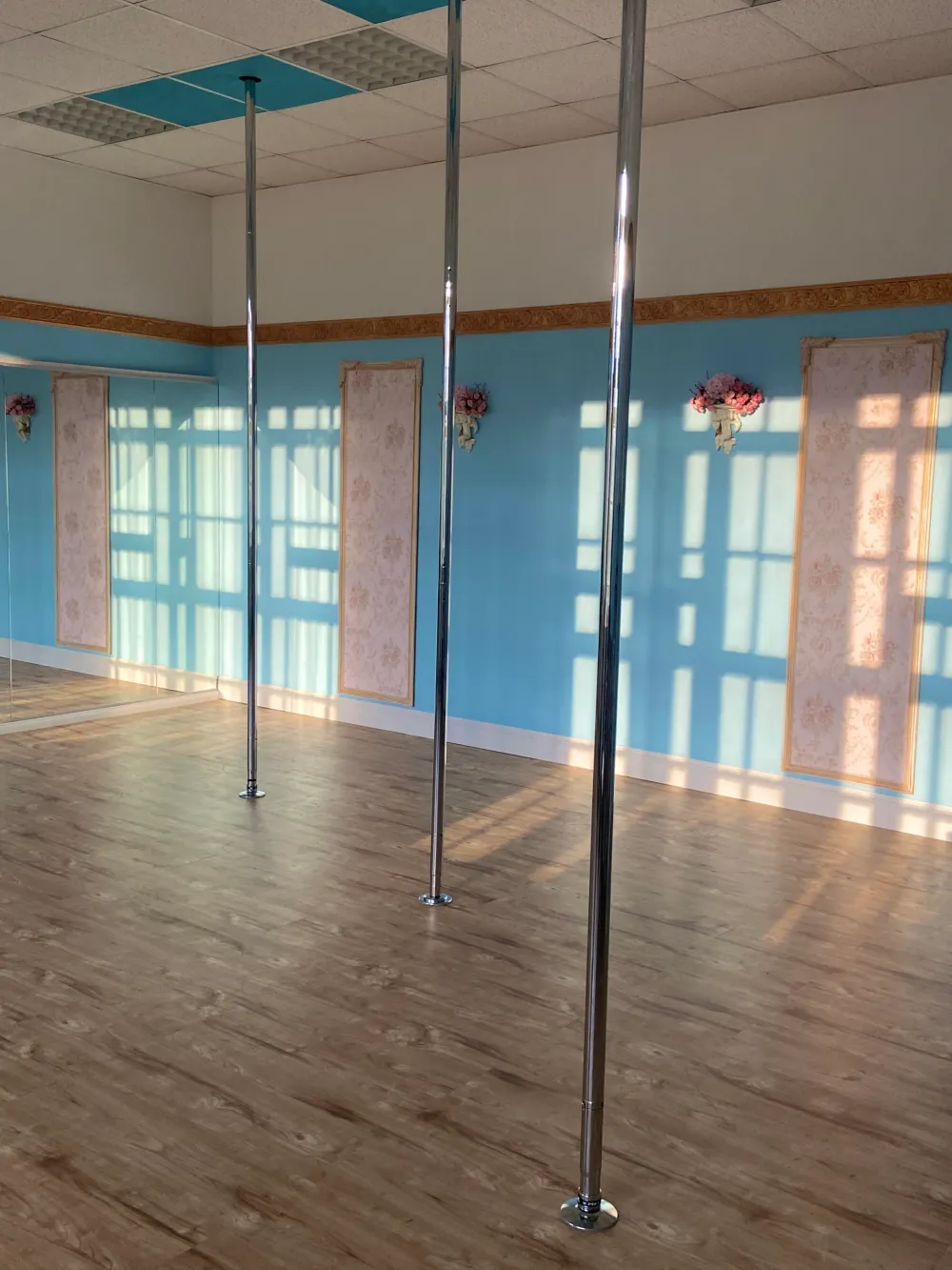 Purr & Pole Boutique Studio