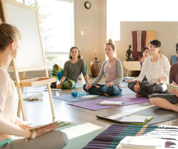 Insight Yogalehrer-Ausbildung 2025/26 @ Insight Yoga