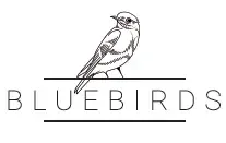 Online Super Flow @ Bluebirds Oost