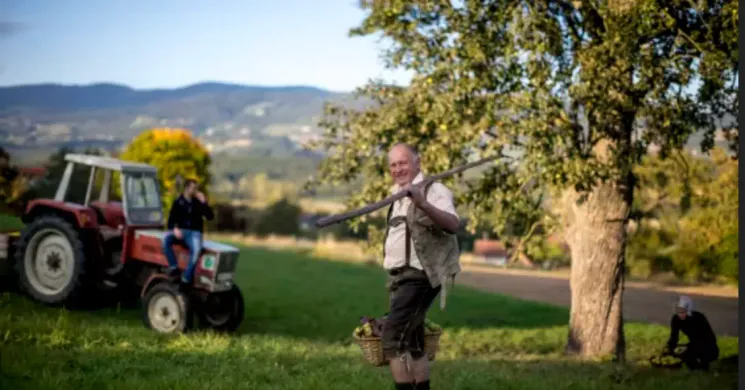 LU JONG Tibetisches Heilyoga und Wandern in Pöllau @ Yogazentrum Mödling