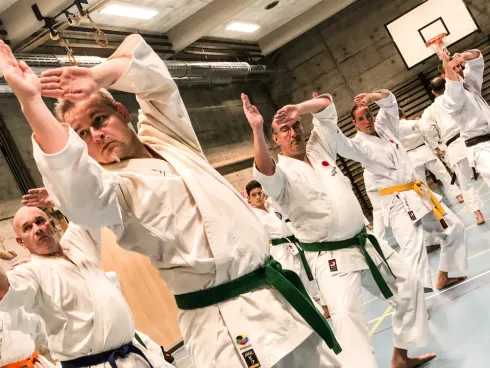 Karate Erwachsene @ Seikukan Karate Do Zürich